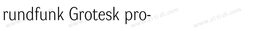 rundfunk Grotesk pro字体转换